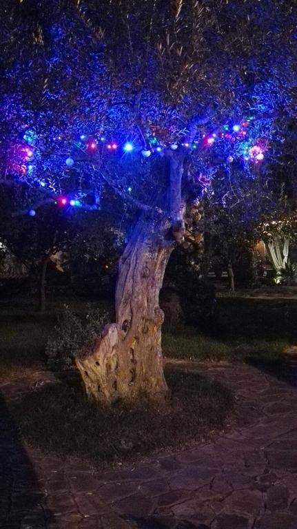 Apartamento Al Vecchio Pozzo Campobello di Licata Exterior foto